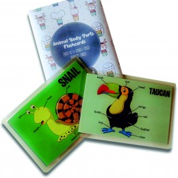 Animal Body Parts Flashcards - Pack of 10