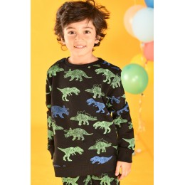 Dinosaur Boys Black Sweatshirt - Fleece