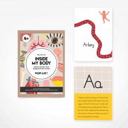Flash and Fact Cards - Inside My Body